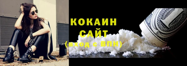гашик Осинники