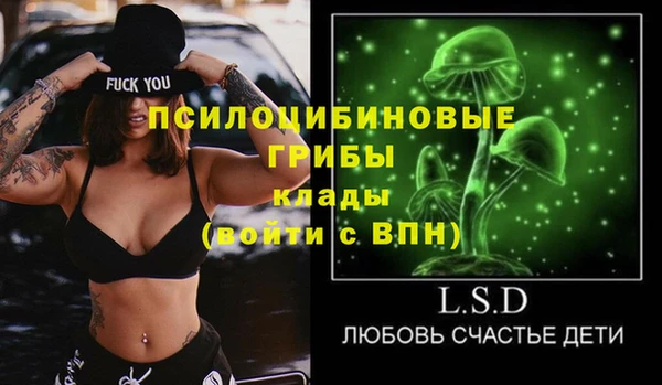 ECSTASY Нязепетровск