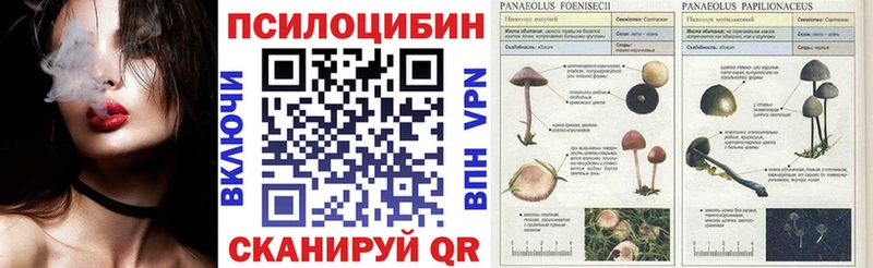 Галлюциногенные грибы мицелий  blacksprut ТОР  Ревда  купить наркоту 